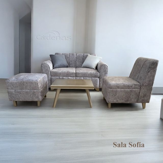 Sala Sofía