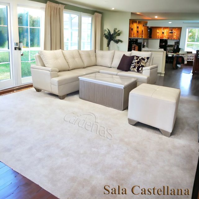 Sala Castellana 2024